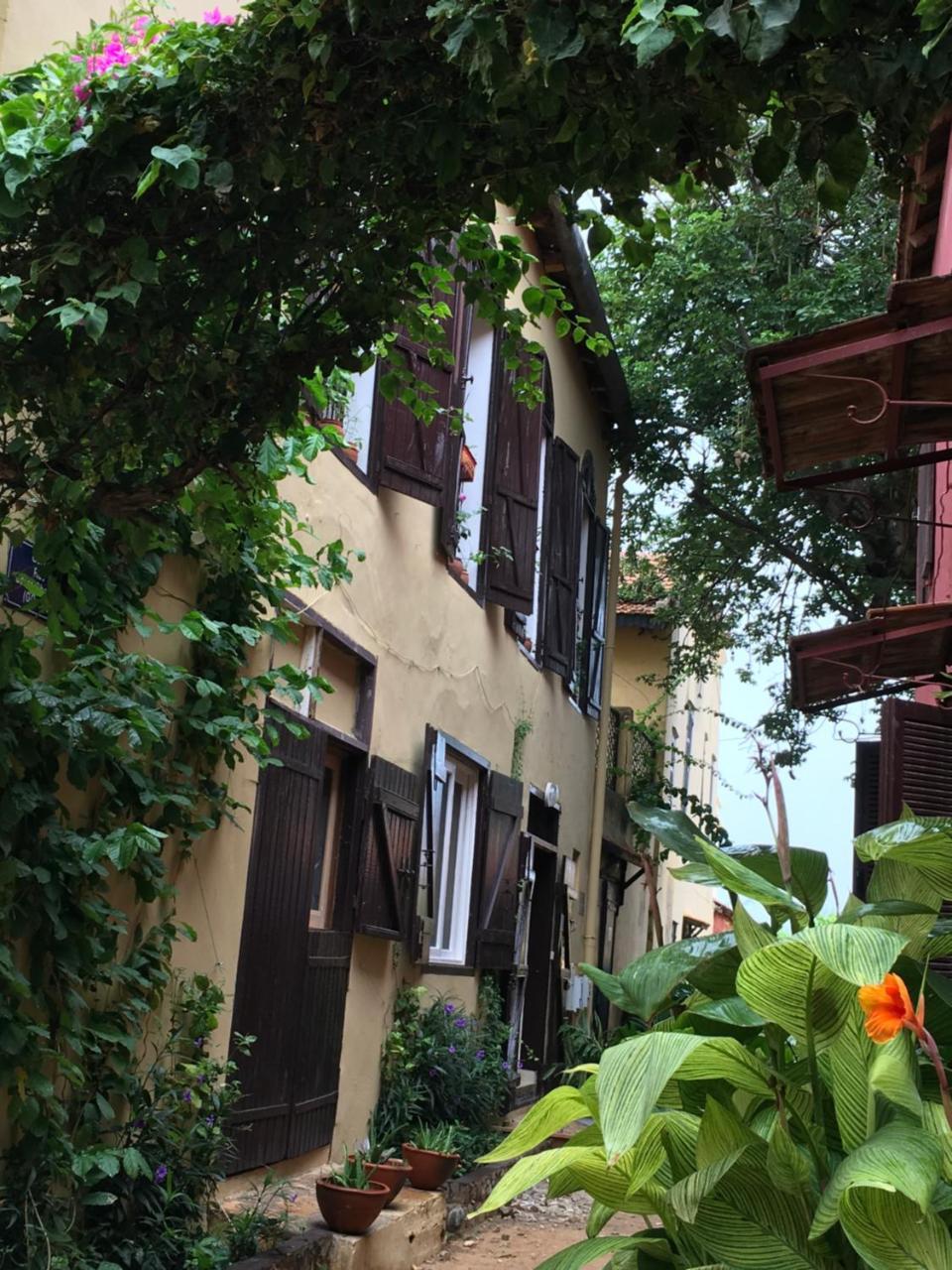 Chez Coumbis Bed & Breakfast Đảo Gorée Ngoại thất bức ảnh